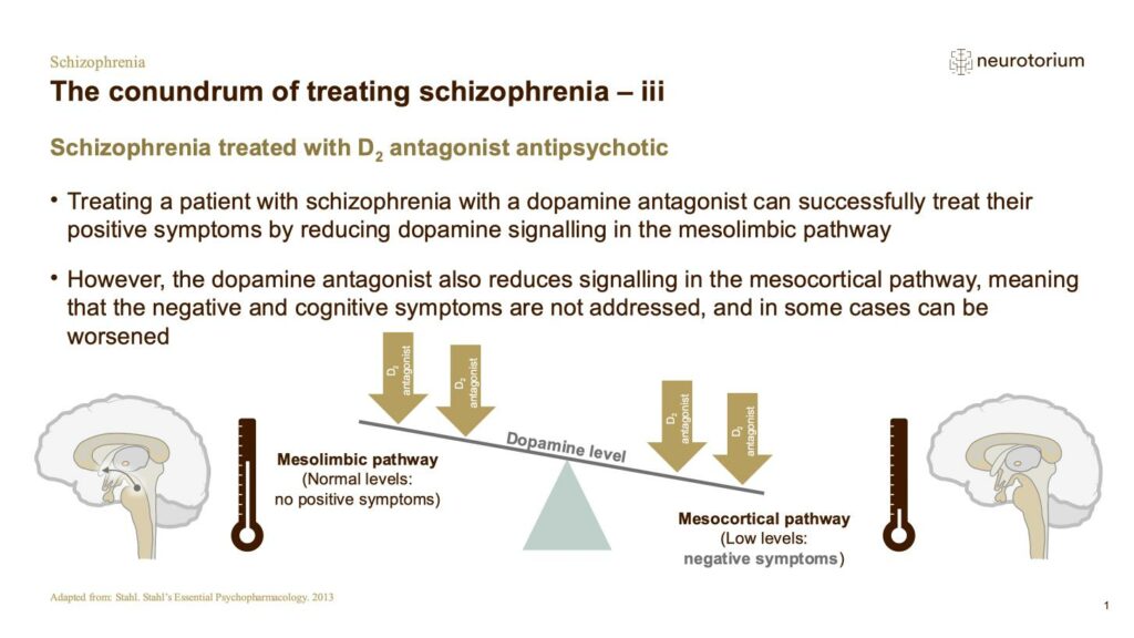 Schizophrenia - Neurobiology and Aetiology - slide 29